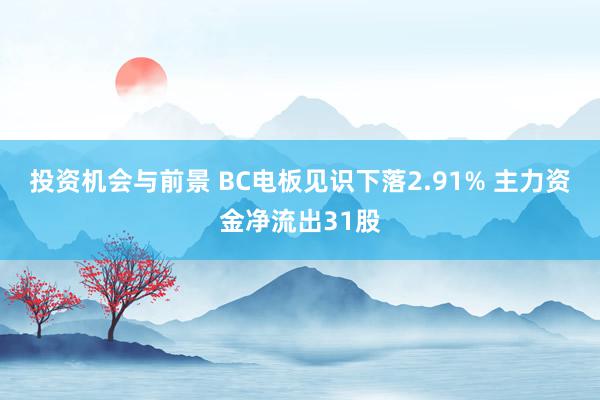 投资机会与前景 BC电板见识下落2.91% 主力资金净流出31股