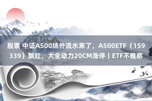 股票 中证A500场外流水来了，A500ETF（159339）飘红，大全动力20CM涨停丨ETF不雅察