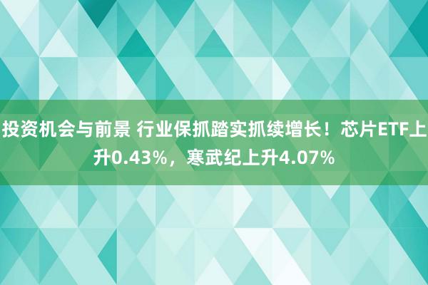 投资机会与前景 行业保抓踏实抓续增长！芯片ETF上升0.43%，寒武纪上升4.07%