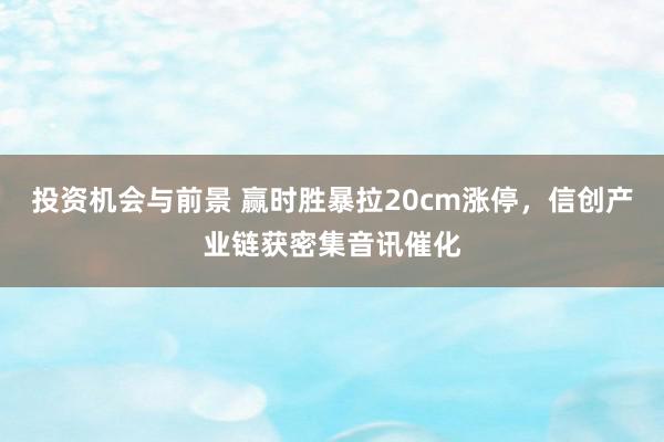 投资机会与前景 赢时胜暴拉20cm涨停，信创产业链获密集音讯催化