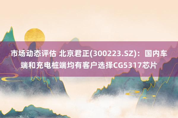 市场动态评估 北京君正(300223.SZ)：国内车端和充电桩端均有客户选择CG5317芯片