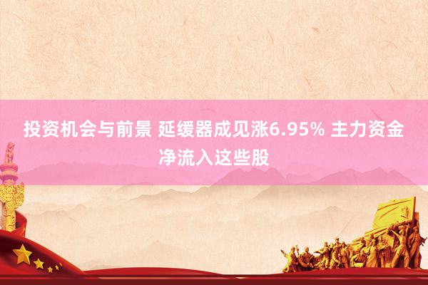 投资机会与前景 延缓器成见涨6.95% 主力资金净流入这些股