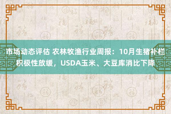 市场动态评估 农林牧渔行业周报：10月生猪补栏积极性放缓，USDA玉米、大豆库消比下降