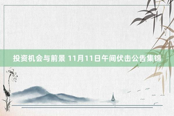 投资机会与前景 11月11日午间伏击公告集锦