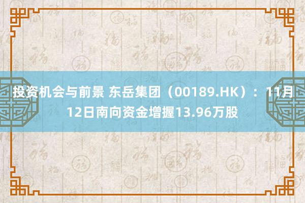 投资机会与前景 东岳集团（00189.HK）：11月12日南向资金增握13.96万股