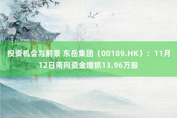 投资机会与前景 东岳集团（00189.HK）：11月12日南向资金增抓13.96万股