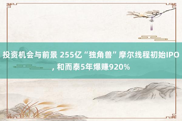 投资机会与前景 255亿“独角兽”摩尔线程初始IPO, 和而泰5年爆赚920%