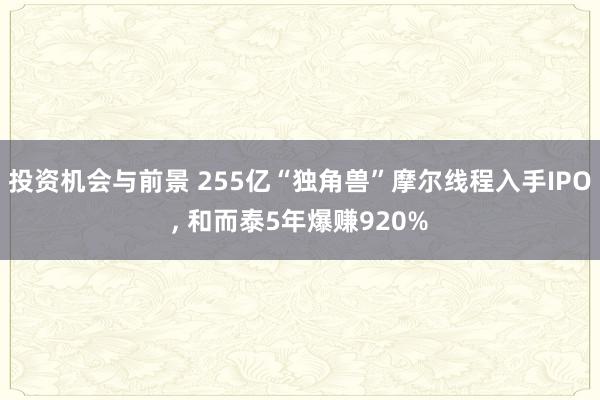 投资机会与前景 255亿“独角兽”摩尔线程入手IPO, 和而泰5年爆赚920%