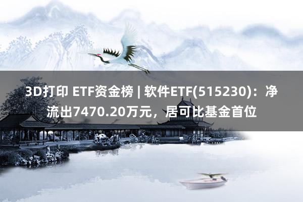 3D打印 ETF资金榜 | 软件ETF(515230)：净流出7470.20万元，居可比基金首位