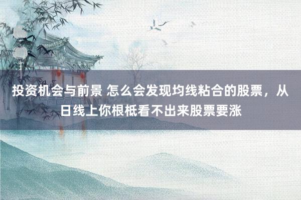 投资机会与前景 怎么会发现均线粘合的股票，从日线上你根柢看不出来股票要涨