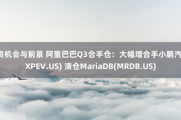 投资机会与前景 阿里巴巴Q3合手仓：大幅增合手小鹏汽车(XPEV.US) 清仓MariaDB(MRDB.US)