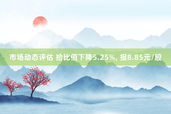 市场动态评估 拾比佰下降5.25%, 报8.85元/股