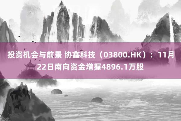 投资机会与前景 协鑫科技（03800.HK）：11月22日南向资金增握4896.1万股