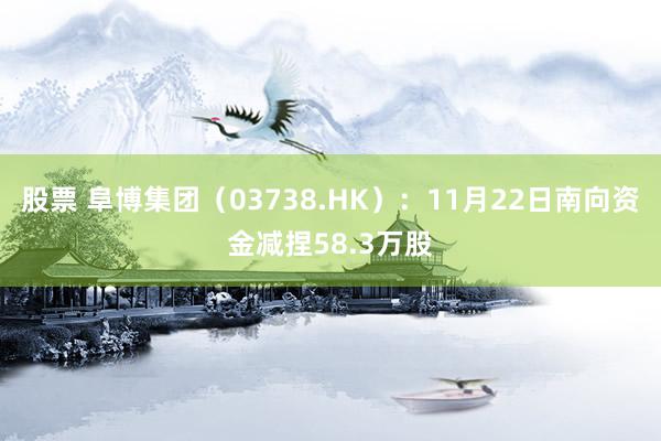 股票 阜博集团（03738.HK）：11月22日南向资金减捏58.3万股