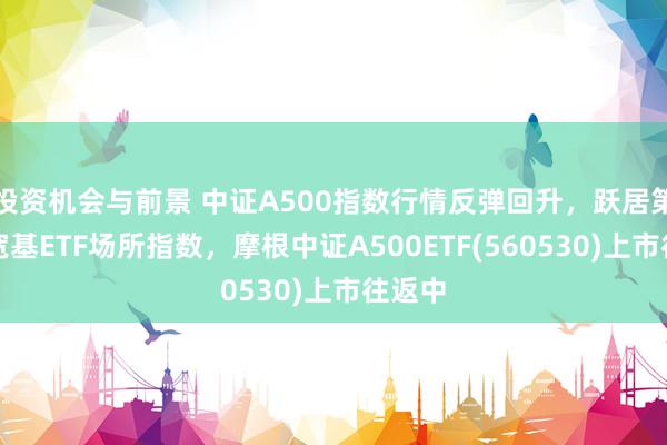 投资机会与前景 中证A500指数行情反弹回升，跃居第二大宽基ETF场所指数，摩根中证A500ETF(560530)上市往返中