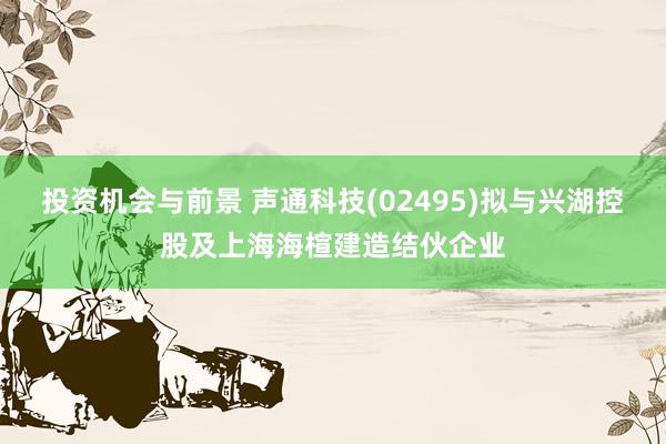 投资机会与前景 声通科技(02495)拟与兴湖控股及上海海楦建造结伙企业