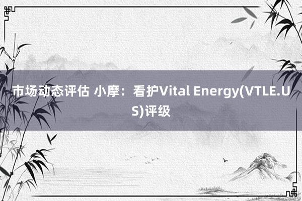 市场动态评估 小摩：看护Vital Energy(VTLE.US)评级