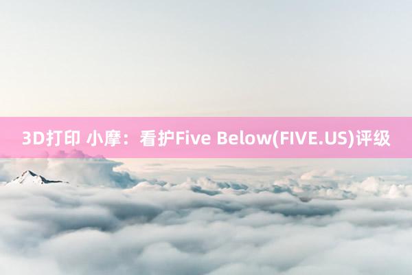 3D打印 小摩：看护Five Below(FIVE.US)评级