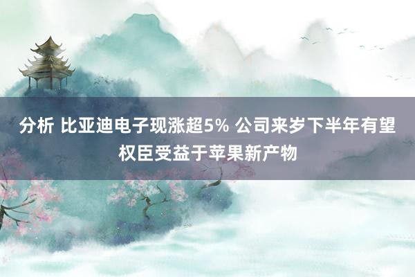 分析 比亚迪电子现涨超5% 公司来岁下半年有望权臣受益于苹果新产物