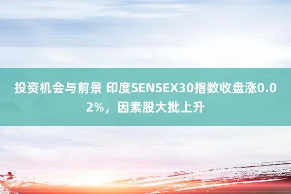 投资机会与前景 印度SENSEX30指数收盘涨0.02%，因素股大批上升