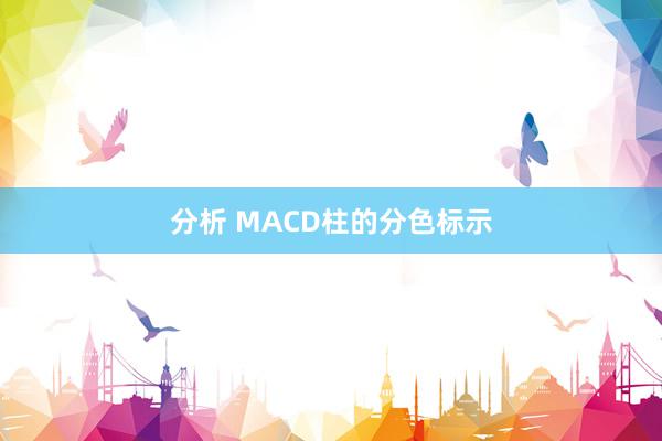 分析 MACD柱的分色标示