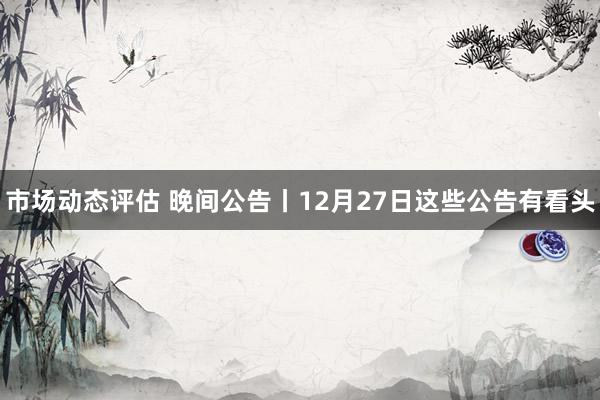 市场动态评估 晚间公告丨12月27日这些公告有看头