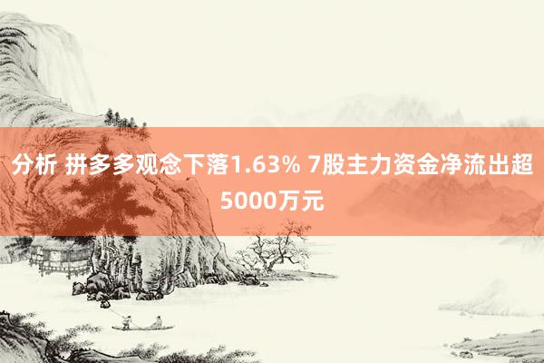 分析 拼多多观念下落1.63% 7股主力资金净流出超5000万元