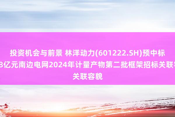 投资机会与前景 林洋动力(601222.SH)预中标2.78亿元南边电网2024年计量产物第二批框架招标关联容貌