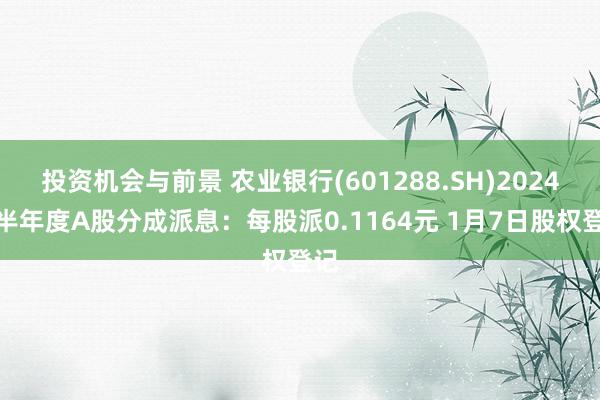 投资机会与前景 农业银行(601288.SH)2024年半年度A股分成派息：每股派0.1164元 1月7日股权登记