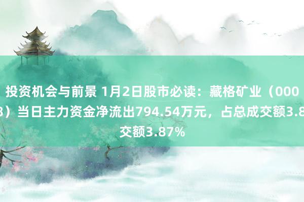 投资机会与前景 1月2日股市必读：藏格矿业（000408）当日主力资金净流出794.54万元，占总成交额3.87%