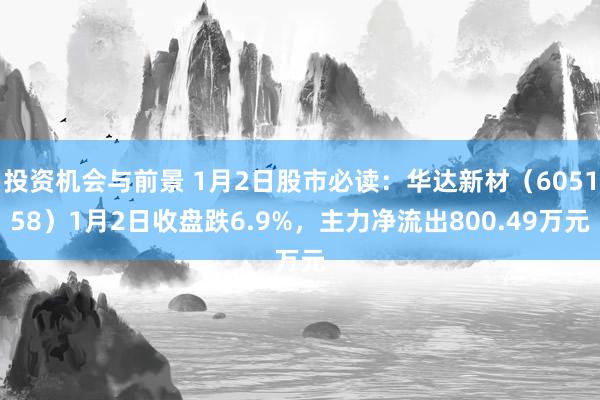 投资机会与前景 1月2日股市必读：华达新材（605158）1月2日收盘跌6.9%，主力净流出800.49万元