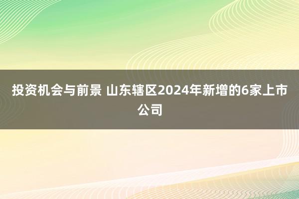 投资机会与前景 山东辖区2024年新增的6家上市公司