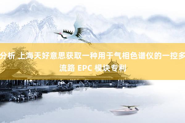 分析 上海天好意思获取一种用于气相色谱仪的一控多流路 EPC 模块专利