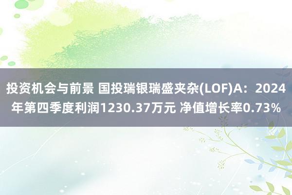 投资机会与前景 国投瑞银瑞盛夹杂(LOF)A：2024年第四季度利润1230.37万元 净值增长率0.73%