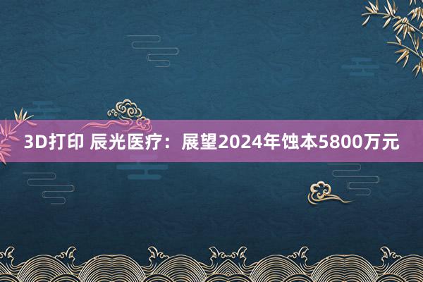 3D打印 辰光医疗：展望2024年蚀本5800万元