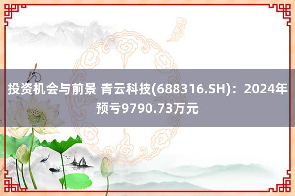 投资机会与前景 青云科技(688316.SH)：2024年预亏9790.73万元