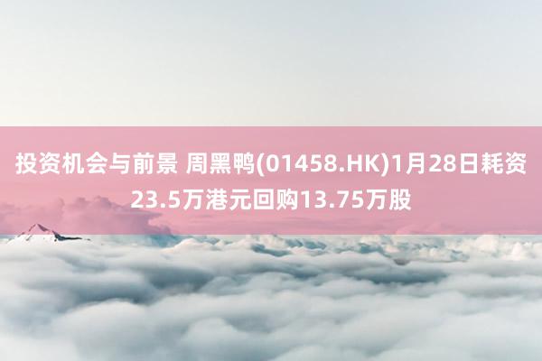 投资机会与前景 周黑鸭(01458.HK)1月28日耗资23.5万港元回购13.75万股