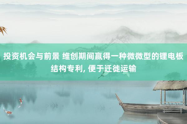 投资机会与前景 维创期间赢得一种微微型的锂电板结构专利, 便于迁徙运输