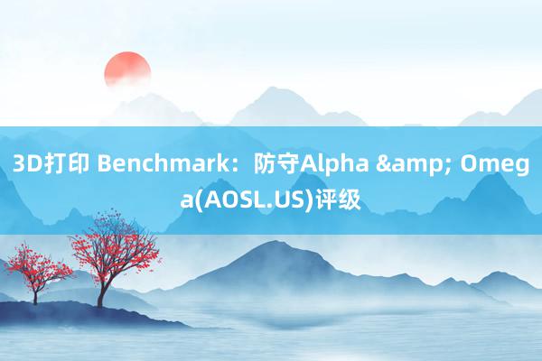 3D打印 Benchmark：防守Alpha & Omega(AOSL.US)评级