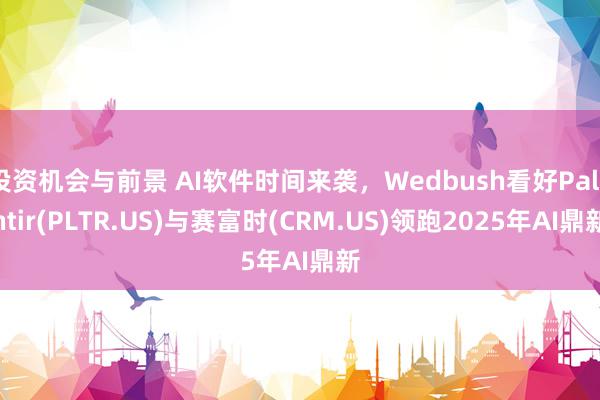 投资机会与前景 AI软件时间来袭，Wedbush看好Palantir(PLTR.US)与赛富时(CRM.US)领跑2025年AI鼎新