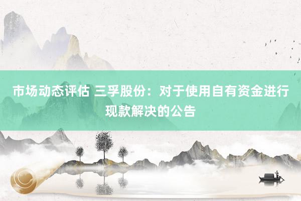 市场动态评估 三孚股份：对于使用自有资金进行现款解决的公告