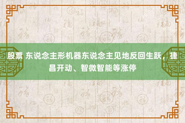 股票 东说念主形机器东说念主见地反回生跃，捷昌开动、智微智能等涨停