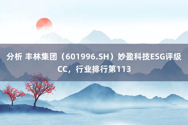 分析 丰林集团（601996.SH）妙盈科技ESG评级CC，行业排行第113